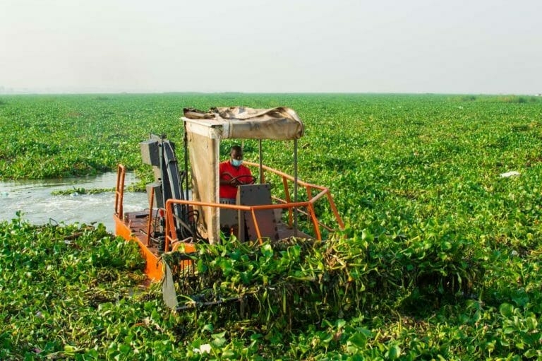 A picture of LASWA machine clearing water hyacinth on Lagos Waterways