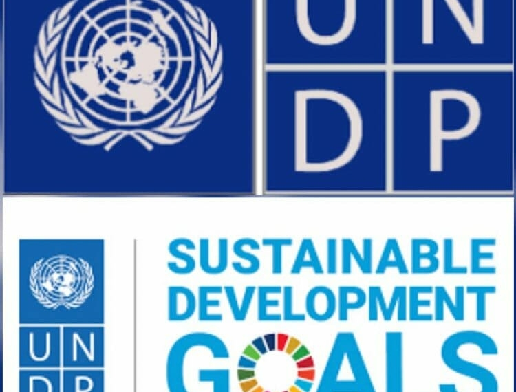 United Nations Development Programme