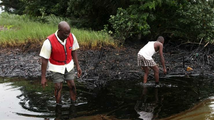 Bayelsa oil spillage (Depict Image)