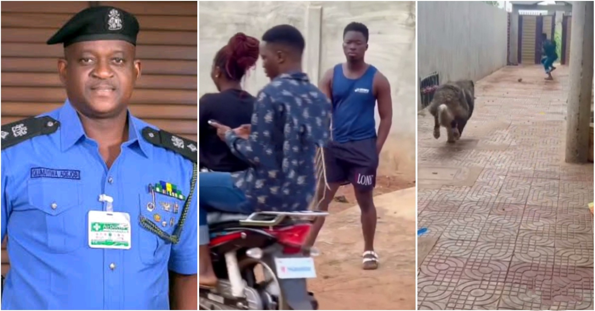 Police PRO, Muyiwa Adejobi, calls out another skit maker, reacts to his prank video