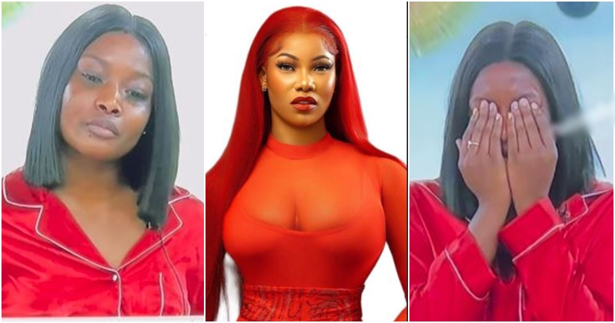 “War go happen!” – Tacha blows hot after Biggie failed to disqualify Ilebaye despite violent display