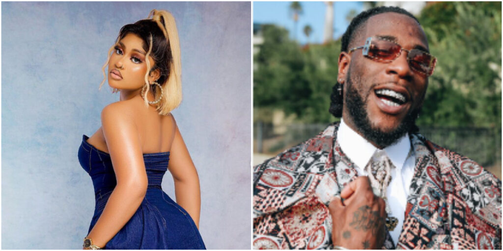 Phyna appeals to Burna Boy for financial assistance amidst blogger troubles