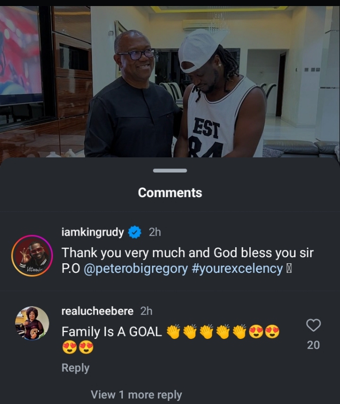 Video of Peter Obi’s visit to Paul and Jude Okoye sparks a wave of hopeful expectations for peace with Mr. P