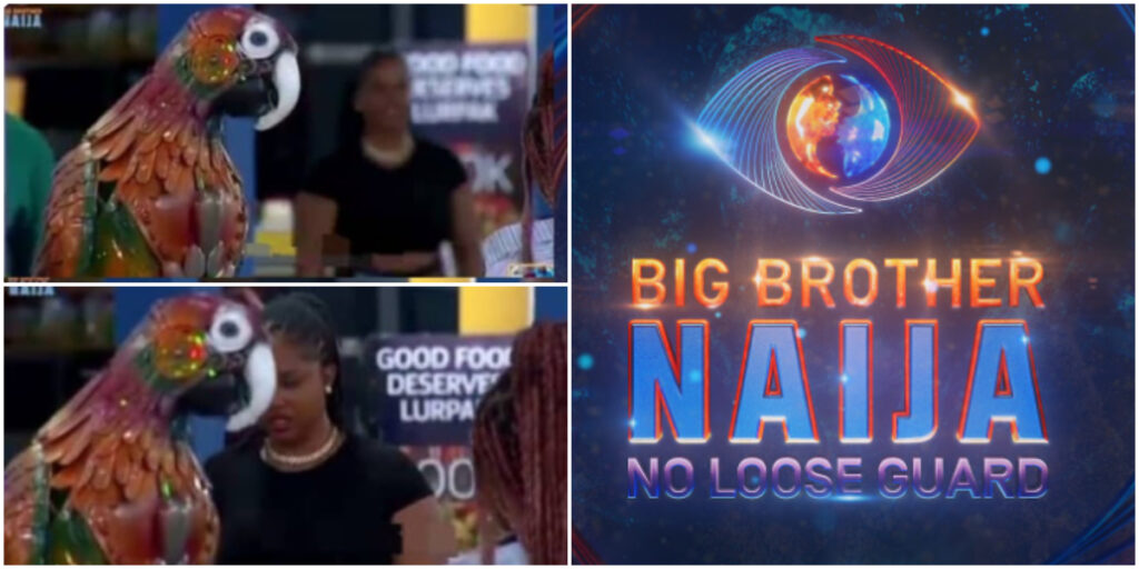 Parrot voices frustration over BBNaija Season 9 housemates’ inactivity