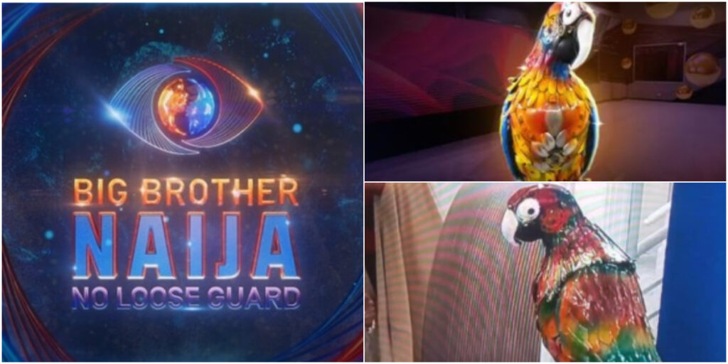 BBNaija fans abuzz with excitement as Big Brother reintroduces the Parrot