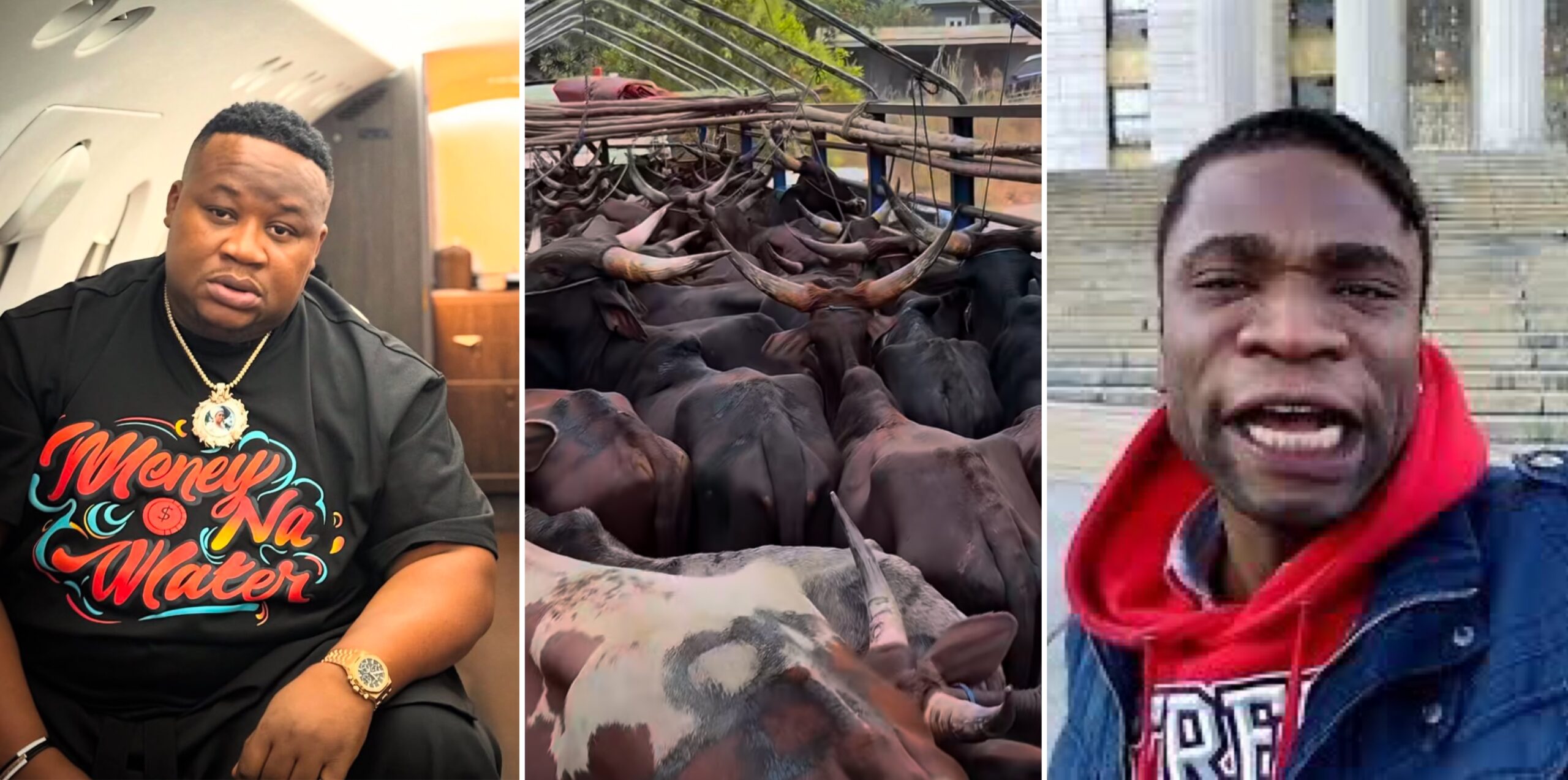 You never bail Akpi – reactions as Cubana Chiefpriest shows off 47 cows gifted to friend for mum’s burial