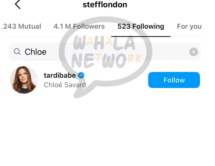 Drama as Stefflon Don and Chloe Bailey unfollow each other on Instagram