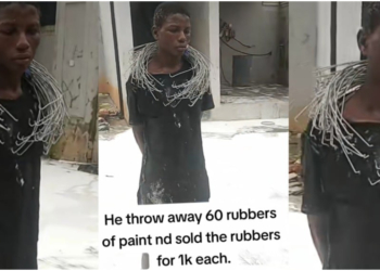 Young boy accused of stealing and discarding valuable paint