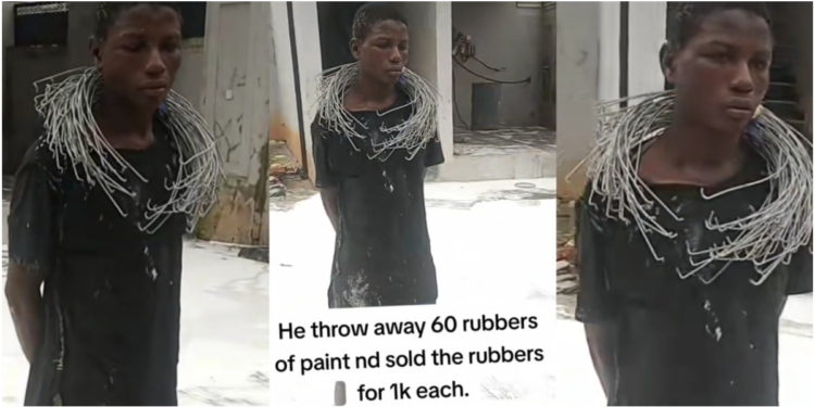 Young boy accused of stealing and discarding valuable paint