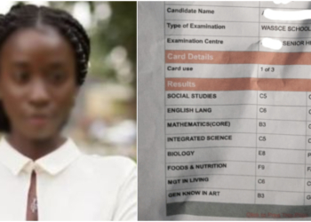 Struggling WASSCE graduate seeks guidance after nursing school application rejection