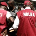 Hoodlums attack NDLEA operatives