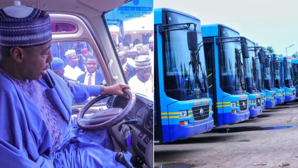 Borno State Governor Babagana Umara Zulum