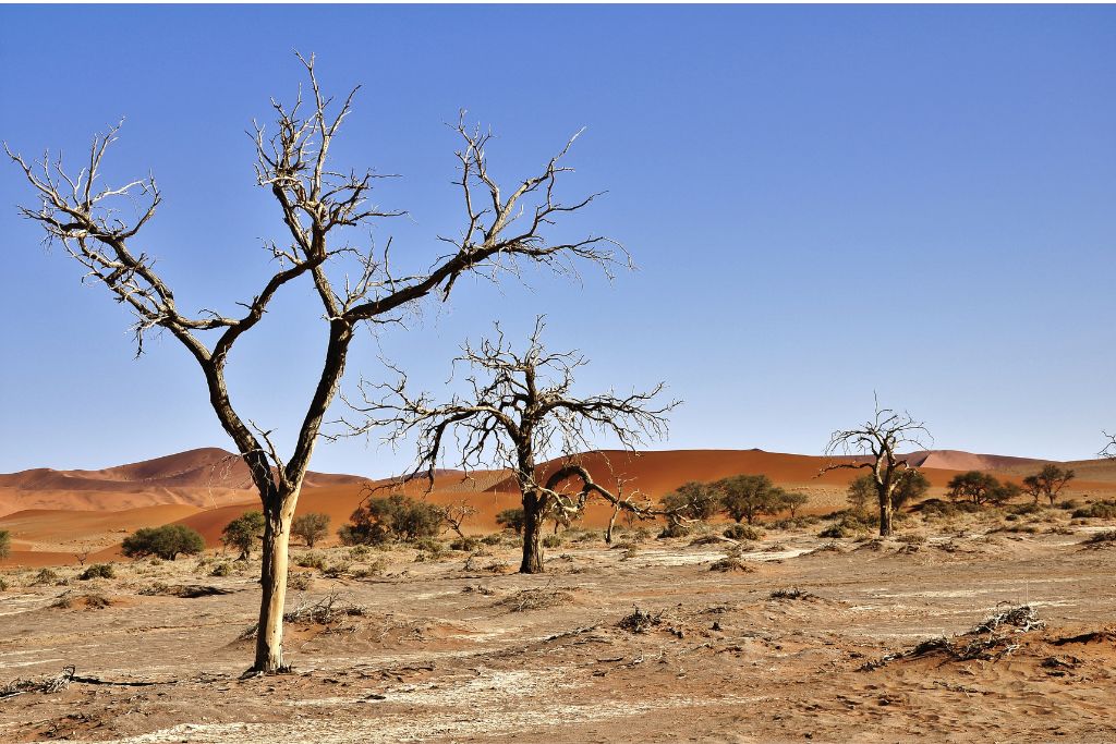 Desertification In Kebbi