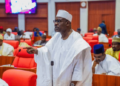 Senate Chief Whip Ali Ndume