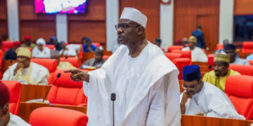 Senate Chief Whip Ali Ndume