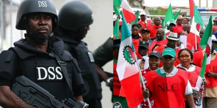 A photo collage of a DSS officer and NLC members during a protest action