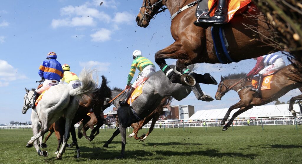 President Bola Tinubu’s horse