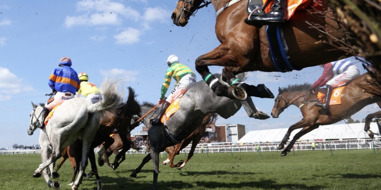 President Bola Tinubu’s horse