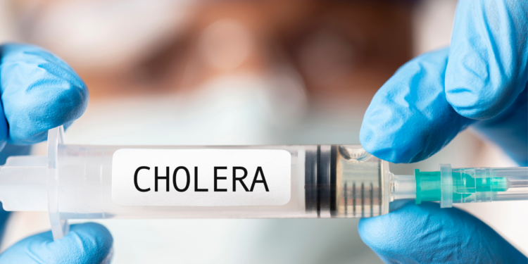 Cholera Deaths