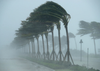 Adamawa Windstorm