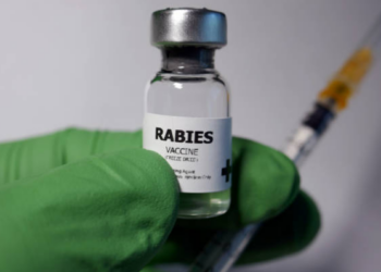 Rabies Vaccine