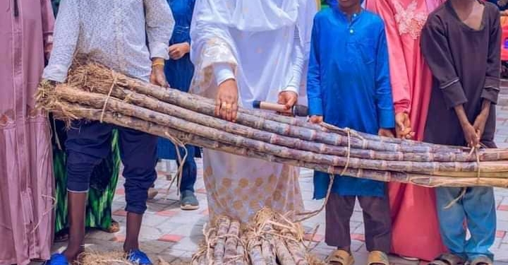 Empowering Youths With Sugarcane