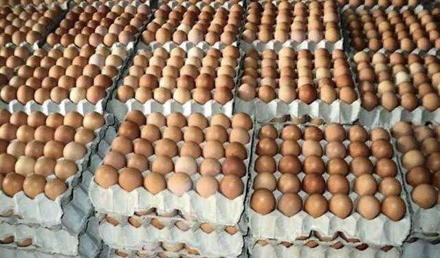 World Egg Day