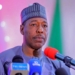 Professor Babagana Zulum, the Borno state governor