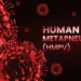 Human Metapneumovirus (HMPV)