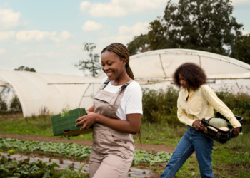 Benefits of Growing Your Own Food