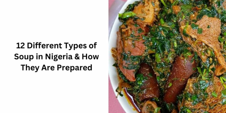 12 Different Types of Soup in Nigeria & How They Are Prepared