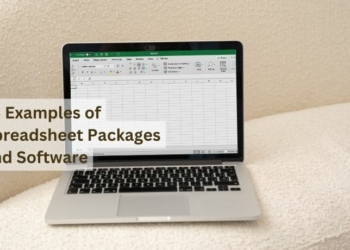 15 Examples of Spreadsheet Packages and Software