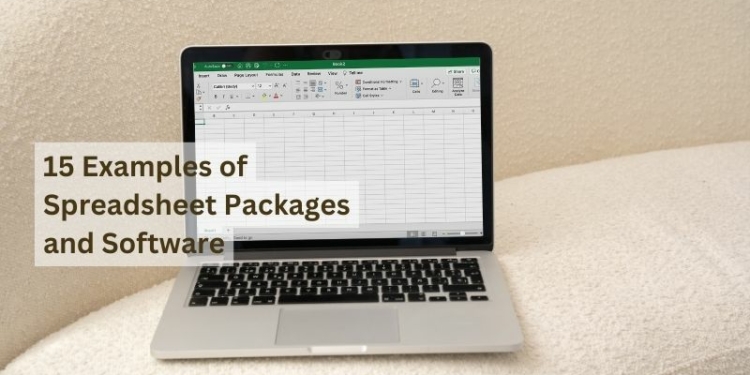 15 Examples of Spreadsheet Packages and Software