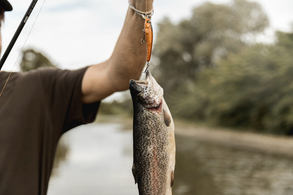 How to Clean and Cook Fish