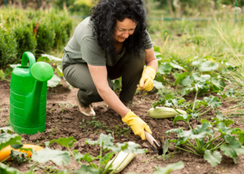 Organic Gardening