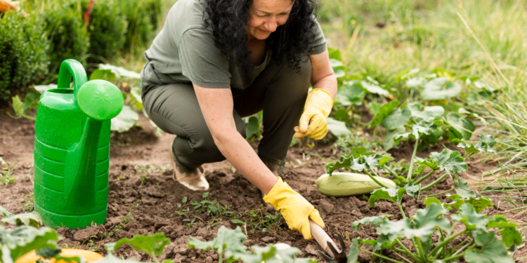 Organic Gardening