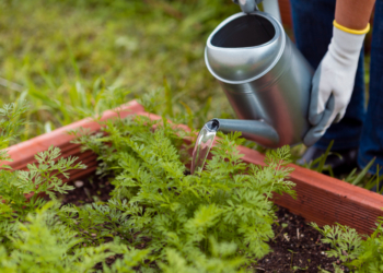 How to make good irrigation in your garden