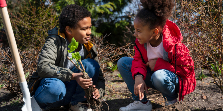 How to Plant A Tree