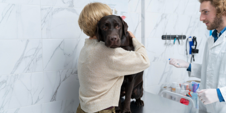 How to Check Your Dog's Body Temperature