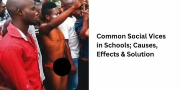 Common Social Vices in Schools; Causes, Effects & Solution