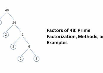 Factors of 48: Prime Factorization, Methods, and Examples