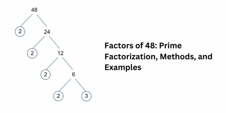 Factors of 48: Prime Factorization, Methods, and Examples