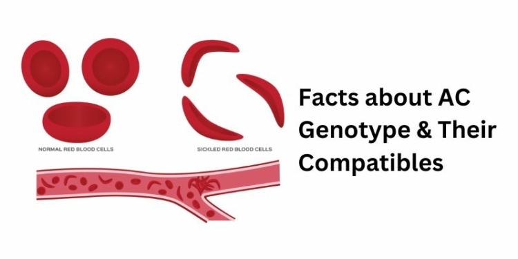 Facts about AC Genotype & Their Compatibles