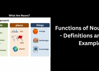 Functions of Noun - Definitions and Examples