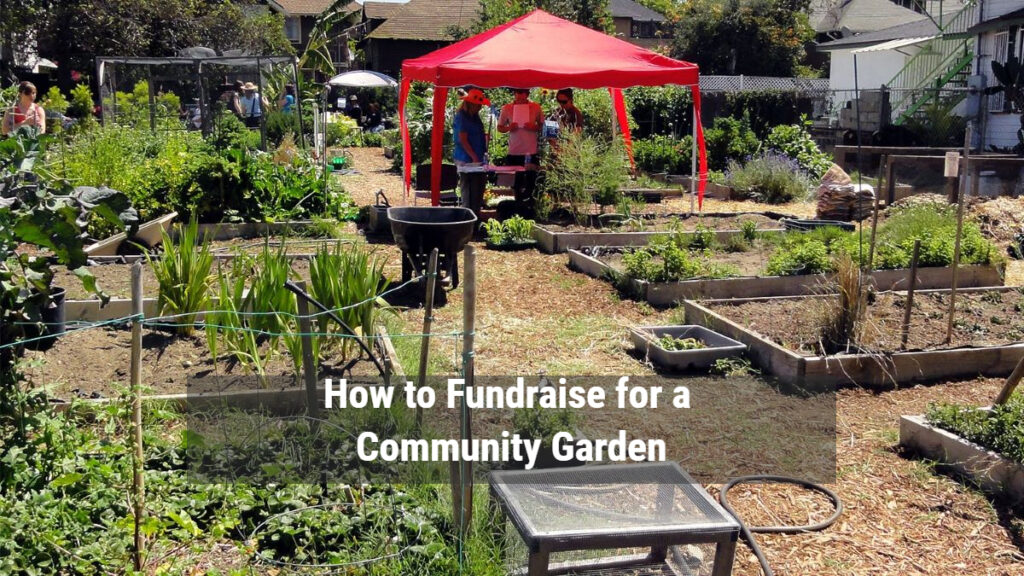 How to Fundraise for a Community Garden