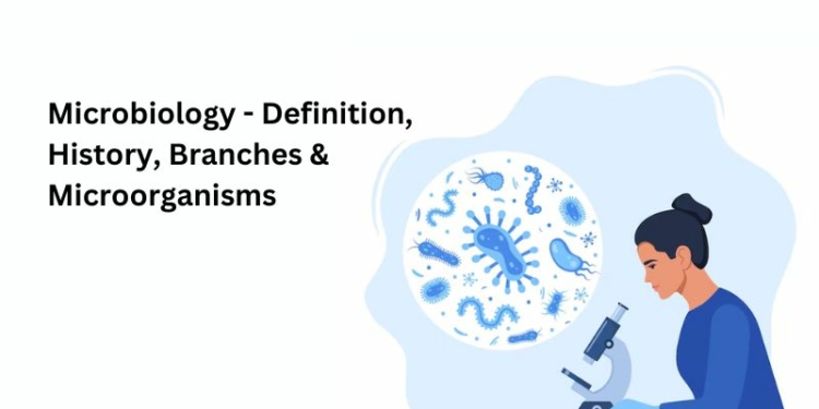 Microbiology - Definition, History, Branches & Microorganisms