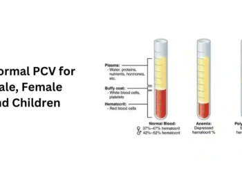 Normal PCV for Male, Female and Children