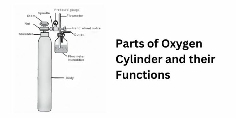 Parts of Oxygen Cylinder and their Functions