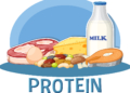 Protein