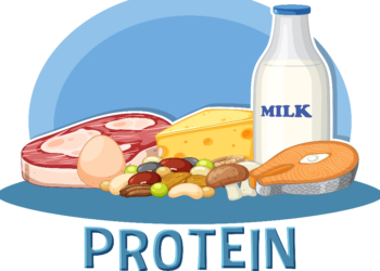 Protein